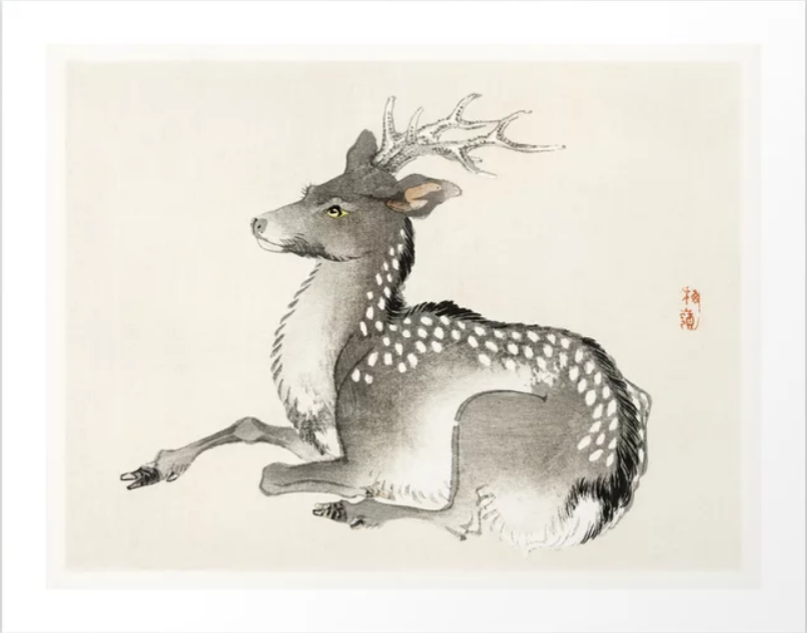 Elk painting by Kono Bairei