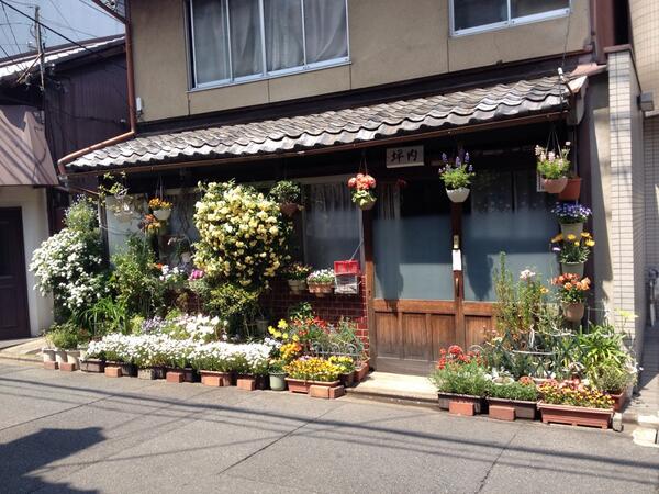 spring in kyoto